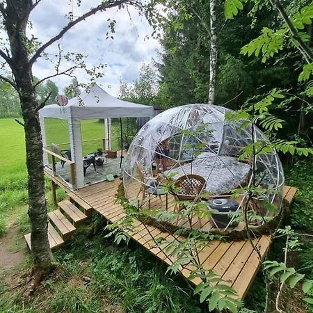 Kaerrbaecks Bubbla Tarnsjo Exteriör bild