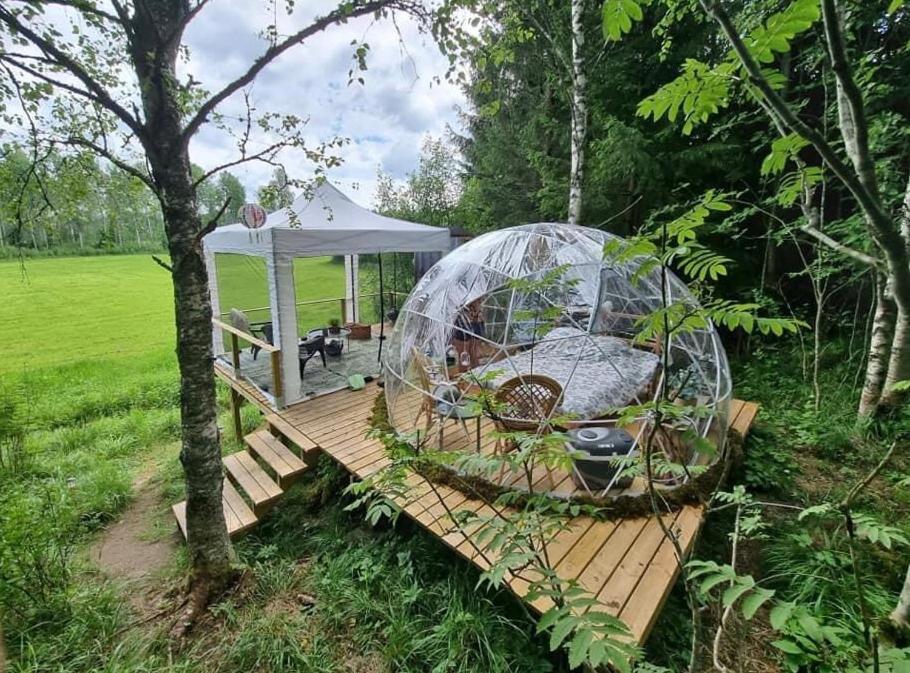 Kaerrbaecks Bubbla Tarnsjo Exteriör bild